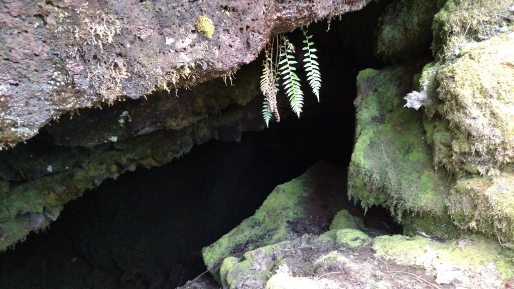 Cave at Natural Bridges