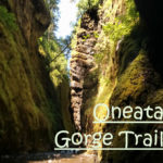 Oneota Gorge