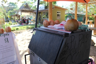 Fresh Coconut Stand